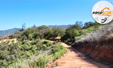 Parcela en venta en QUILPUÉ