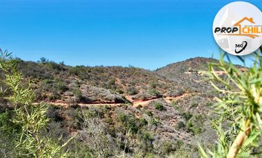 Parcela en venta en QUILPUÉ