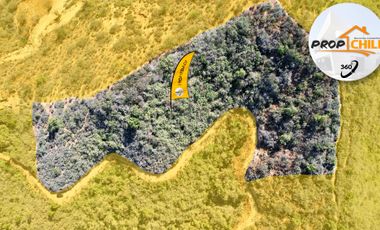 Parcela en venta en QUILPUÉ