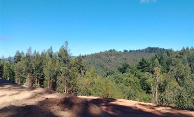 Parcela en Venta en A ocho minutos de la plaza de Hualqui