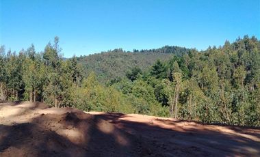 Parcela en Venta en A ocho minutos de la plaza de Hualqui