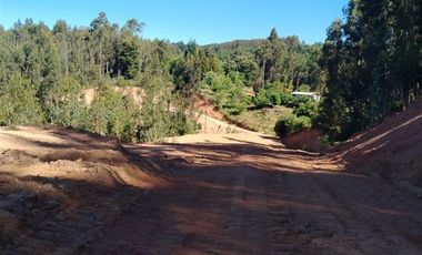 Parcela en Venta en A ocho minutos de la plaza de Hualqui