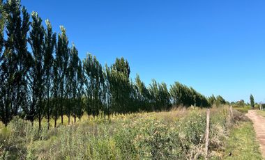 Terreno / Lote en venta de 8500m2 ubicado en Cañada Seca, San Rafael Mendoza