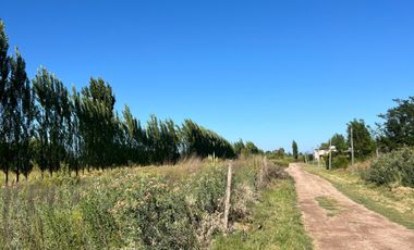 Terreno / Lote en venta de 8500m2 ubicado en Cañada Seca, San Rafael Mendoza