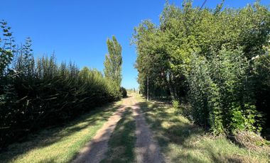 Terreno / Lote en venta de 8500m2 ubicado en Cañada Seca, San Rafael Mendoza