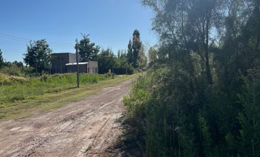 Terreno / Lote en venta de 8500m2 ubicado en Cañada Seca, San Rafael Mendoza