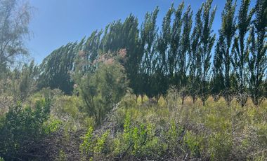 Terreno / Lote en venta de 8500m2 ubicado en Cañada Seca, San Rafael Mendoza