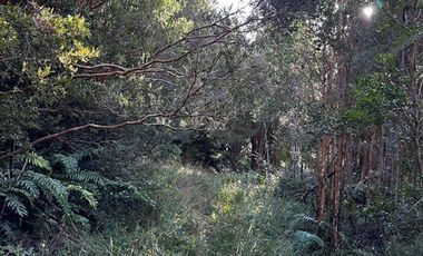 Parcela en Venta en Sector Río Pescado