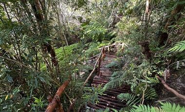 Parcela en Venta en Sector Río Pescado