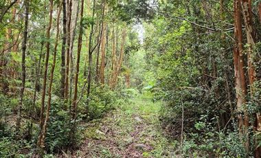 Parcela en Venta en Sector Río Pescado