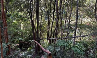 Parcela en Venta en Sector Río Pescado