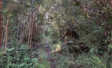 Parcela en Venta en Sector Río Pescado