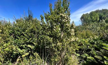 VENTA HERMOSA PARCELA VISTA INSUPERABLE