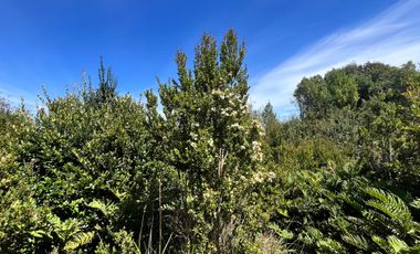 VENTA HERMOSA PARCELA VISTA INSUPERABLE