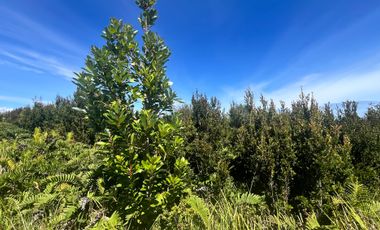 VENTA HERMOSA PARCELA VISTA INSUPERABLE