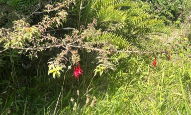 VENTA HERMOSA PARCELA VISTA INSUPERABLE