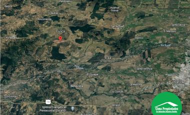 Hermosa Parcela San Nicolás, Sector Curica 5.000 m2