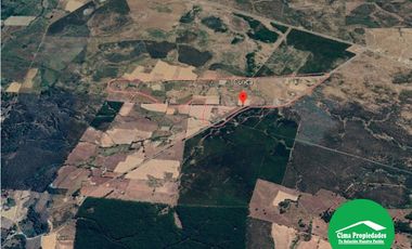 Hermosa Parcela San Nicolás, Sector Curica 5.000 m2
