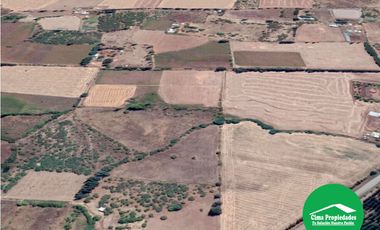 Hermosa Parcela San Nicolás, Sector Curica 5.000 m2