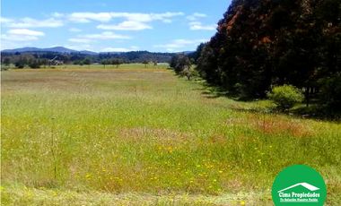 Parcela en Venta San Nicolás, en Curica 5.900 m2