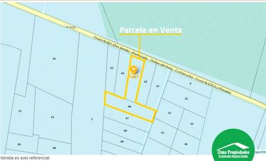 Venta Parcela San Nicolas, sector Curica 10.900m2