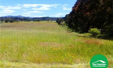 Venta Parcela San Nicolas, sector Curica 10.900m2