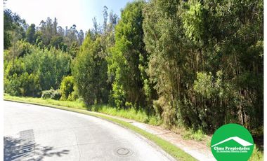 Venta Terrenos Concepción, Sector Villuco, Lonco Parque.