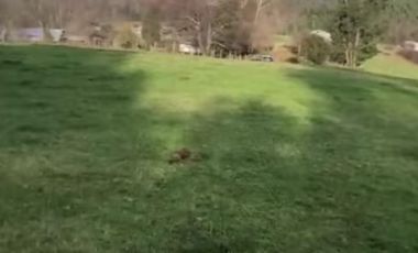HERMOSAS PARCELA CERCA DE PICHIRROPULLI