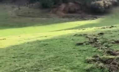 HERMOSAS PARCELA CERCA DE PICHIRROPULLI