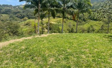 PRECIO OPORTUNIDAD Vendo finca Estación Popalito