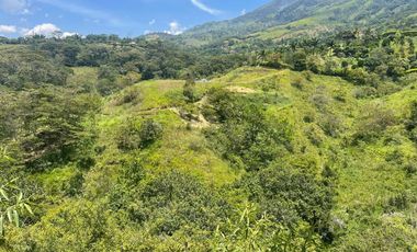 PRECIO OPORTUNIDAD Vendo finca Estación Popalito