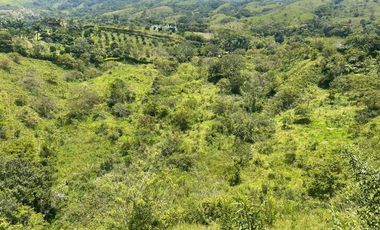 PRECIO OPORTUNIDAD Vendo finca Estación Popalito