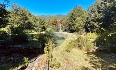 En venta Terreno 14,9 ha. Panqui -Curarrehue