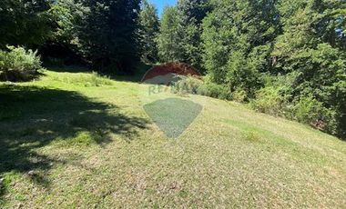 En venta Terreno 14,9 ha. Panqui -Curarrehue