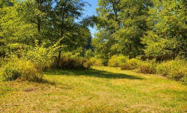 En venta Terreno 14,9 ha. Panqui -Curarrehue