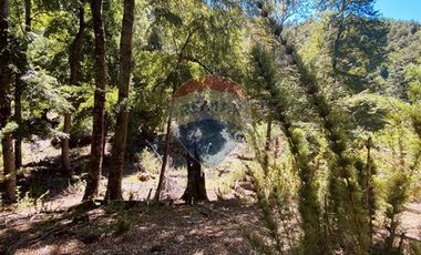 En venta Terreno 14,9 ha. Panqui -Curarrehue
