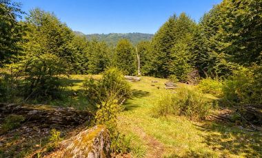 En venta Terreno 14,9 ha. Panqui -Curarrehue