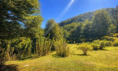 En venta Terreno 14,9 ha. Panqui -Curarrehue