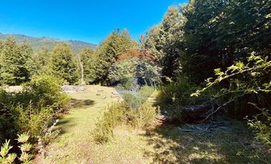 En venta Terreno 14,9 ha. Panqui -Curarrehue