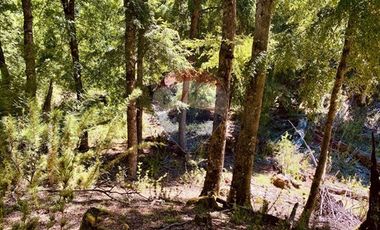 En venta Terreno 14,9 ha. Panqui -Curarrehue