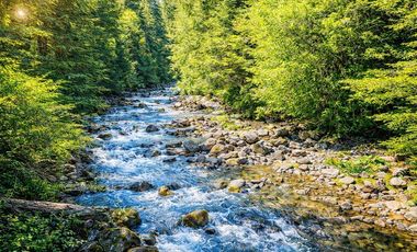 En venta Terreno 14,9 ha. Panqui -Curarrehue