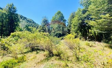 En venta Terreno 14,9 ha. Panqui -Curarrehue
