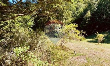 En venta Terreno 14,9 ha. Panqui -Curarrehue
