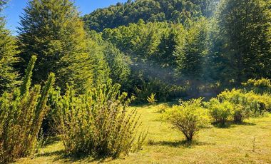 En venta Terreno 14,9 ha. Panqui -Curarrehue