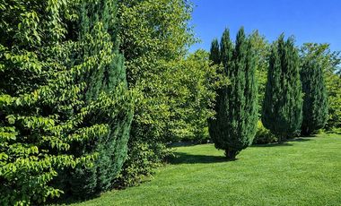 SE VENDE 2 CASAS EN 5.000M2, VISTA VOLCÁN Y LAGO