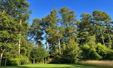 SE VENDE 2 CASAS EN 5.000M2, VISTA VOLCÁN Y LAGO