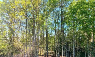 Venta casa en Pucón con vista al volcán