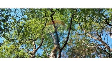 Venta casa en Pucón con vista al volcán