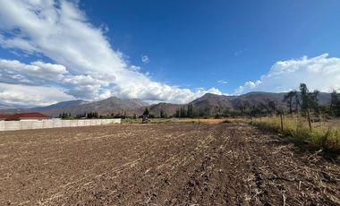 Parcela 5.000 mts2 - Rinconada Los Andes