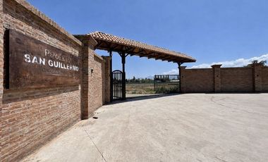 Parcela 5.000 mts2 - Rinconada Los Andes